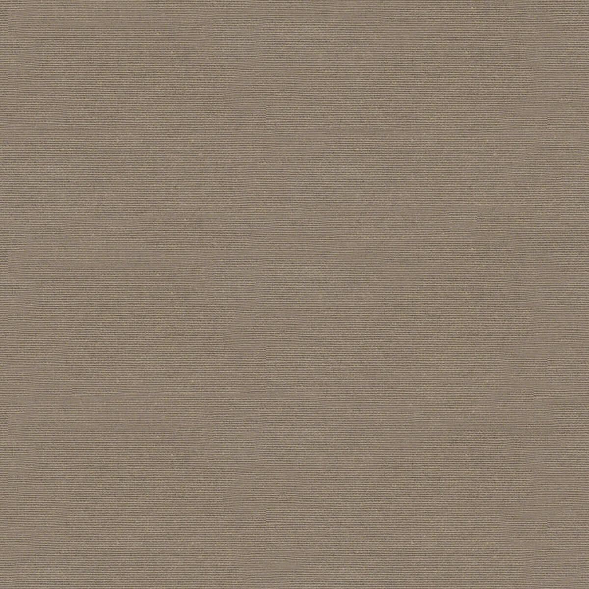 Fläckresistent bordsduk Belum Rodas 91 Brun 250 x 150 cm